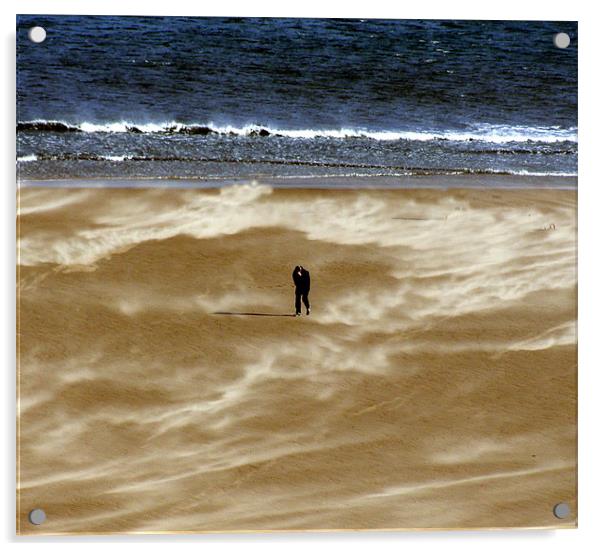 Coast - Windswept  Acrylic by David Turnbull