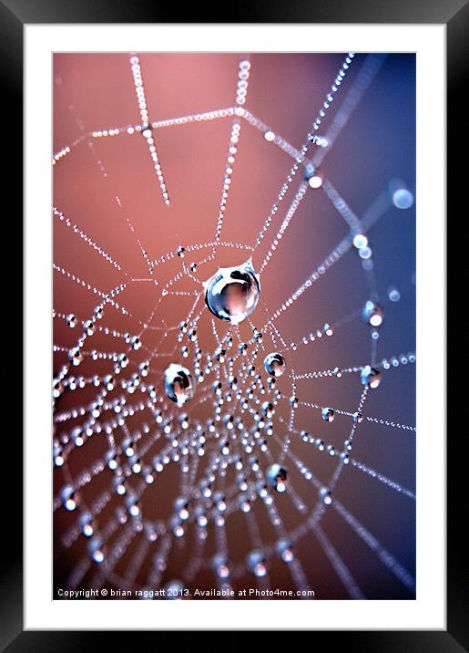 Spiders Necklace Framed Mounted Print by Brian  Raggatt
