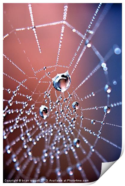 Spiders Necklace Print by Brian  Raggatt