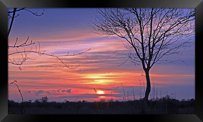 Countryside Sunset Framed Print by Tony Murtagh