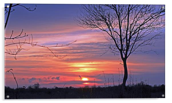 Countryside Sunset Acrylic by Tony Murtagh