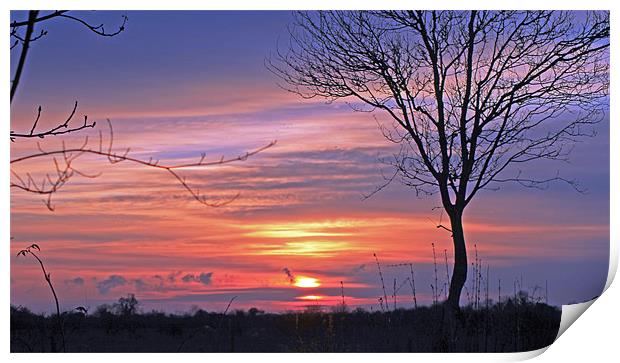 Countryside Sunset Print by Tony Murtagh