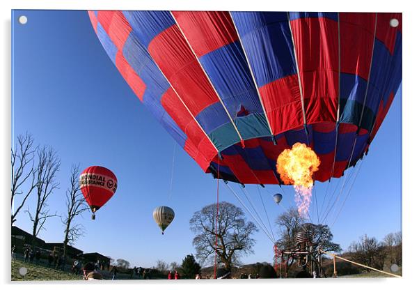 Hot air balloon Acrylic by Tony Bates