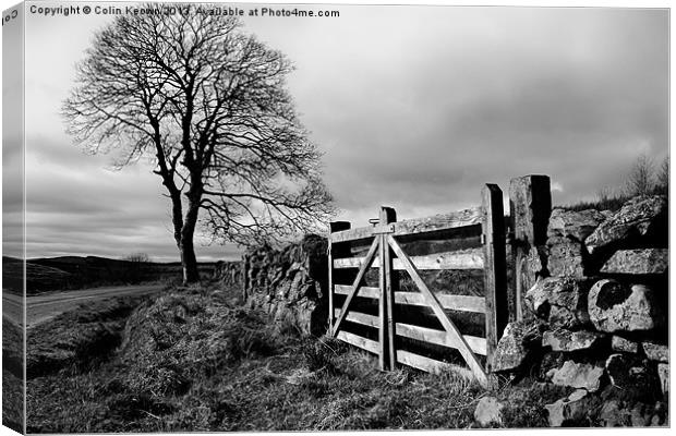 Country gate Canvas Print by Colin Keown