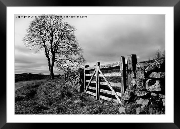 Country gate Framed Mounted Print by Colin Keown