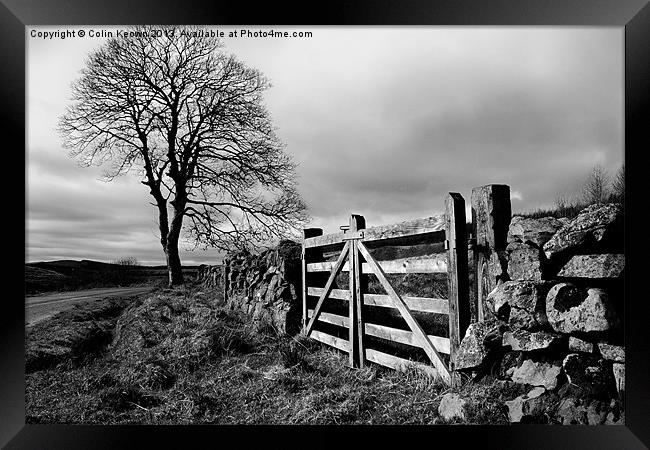 Country gate Framed Print by Colin Keown