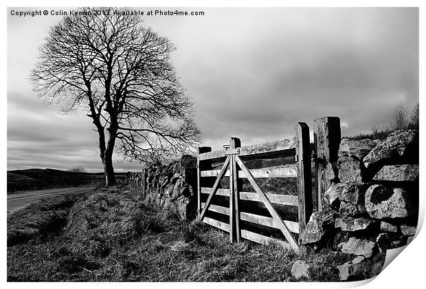 Country gate Print by Colin Keown