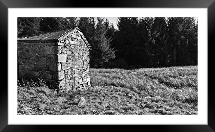 Old Barn In The Woods Framed Mounted Print by Brian Sharland