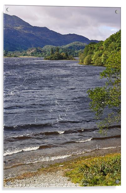 Loch Achray, The Trossachs, Scotland Acrylic by Jane McIlroy