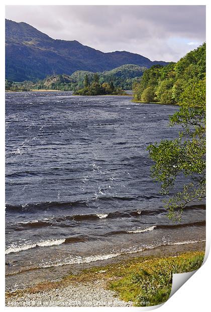Loch Achray, The Trossachs, Scotland Print by Jane McIlroy