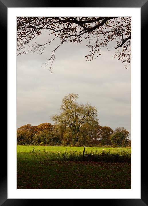 English Autumn View Framed Mounted Print by Alan Jacobs