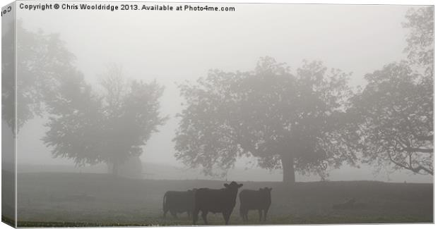 Grazing in the morning mist Canvas Print by Chris Wooldridge
