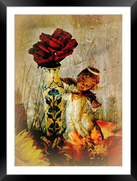 Angelic Roses Framed Mounted Print by Jacqui Kilcoyne