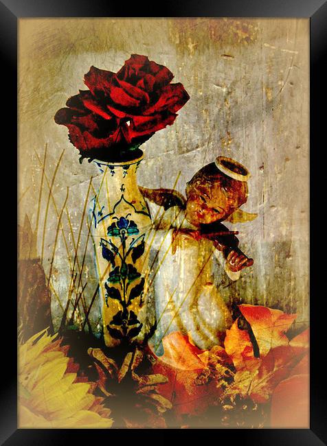 Angelic Roses Framed Print by Jacqui Kilcoyne