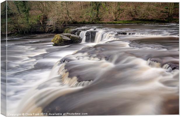 Upper Falls at Aysgarth Canvas Print by Chris Frost