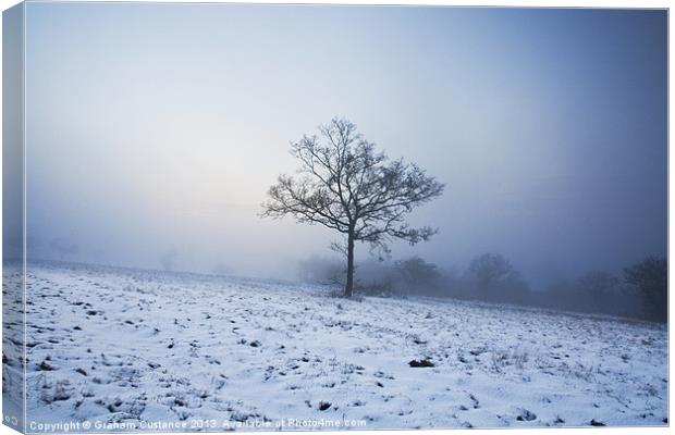 Lonely Tree Canvas Print by Graham Custance