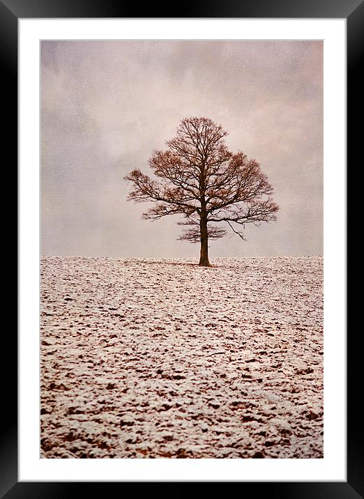 Isolation Framed Mounted Print by Dawn Cox