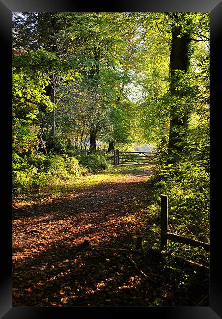 The Gateway To Tring Park Framed Print by graham young