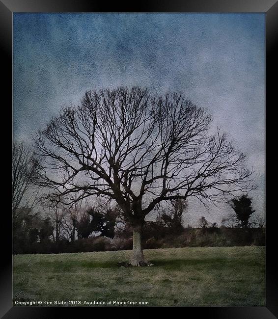 Tree Framed Print by Kim Slater