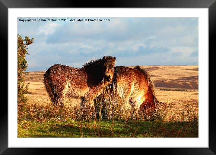 Ponies on West Anstey Common Framed Mounted Print by Debbie Metcalfe
