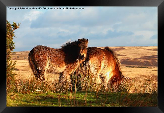 Ponies on West Anstey Common Framed Print by Debbie Metcalfe