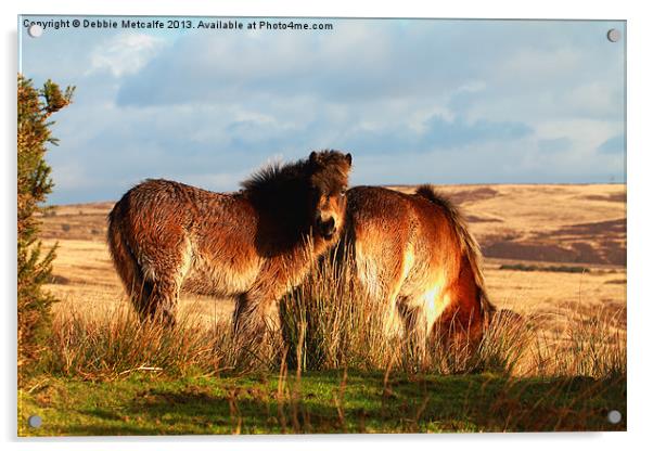 Ponies on West Anstey Common Acrylic by Debbie Metcalfe