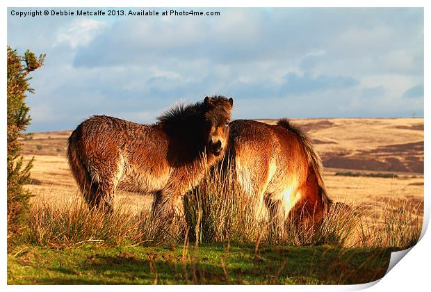 Ponies on West Anstey Common Print by Debbie Metcalfe