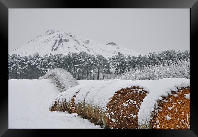 Hay amongst the snow Framed Print by andrew pearson