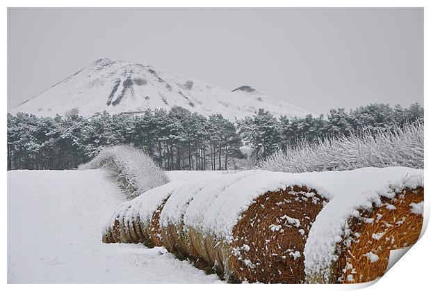 Hay amongst the snow Print by andrew pearson