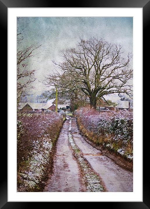 The Winding Pathway Framed Mounted Print by Dawn Cox