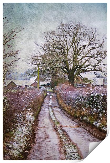 The Winding Pathway Print by Dawn Cox