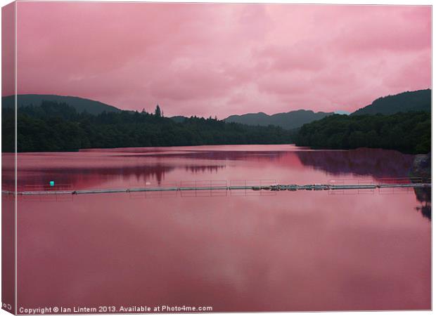 Pink Reflection Canvas Print by Ian Lintern
