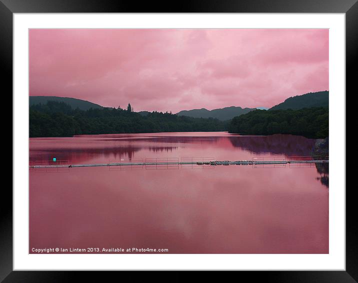 Pink Reflection Framed Mounted Print by Ian Lintern