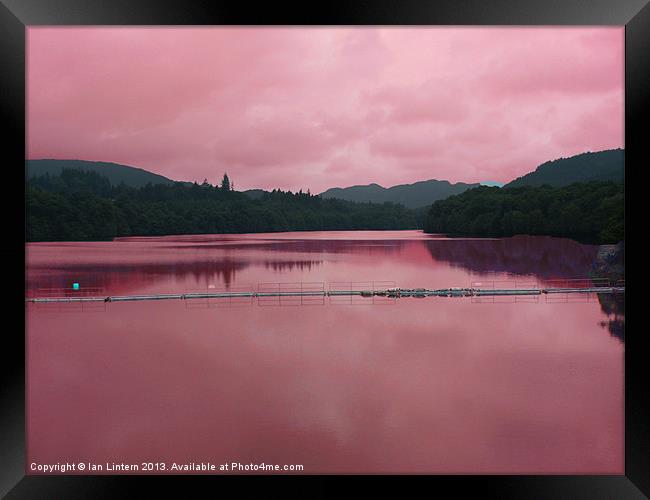 Pink Reflection Framed Print by Ian Lintern