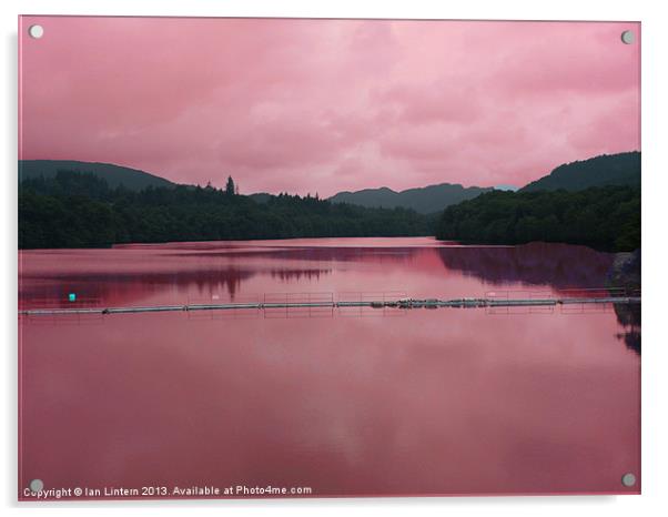 Pink Reflection Acrylic by Ian Lintern