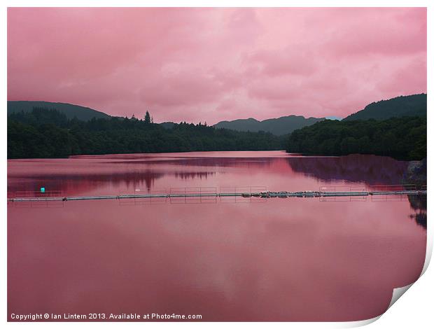 Pink Reflection Print by Ian Lintern