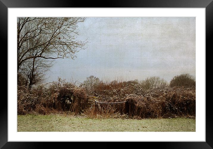 The Hedgerow on a winters morning Framed Mounted Print by Dawn Cox