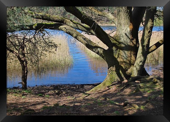 Landing Spot Framed Print by Mark  F Banks