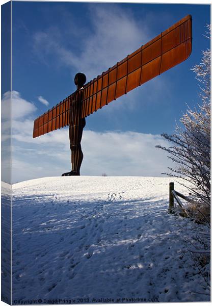 Angel in the Snow IV Canvas Print by David Pringle