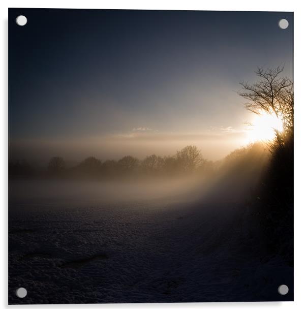 Misty Hedges Acrylic by Simon Wrigglesworth