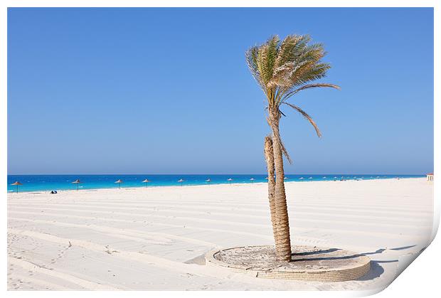 Palm trees on the beach Print by Ahmed Shaker