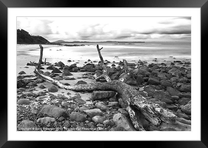 Drift Wood Framed Mounted Print by Barry Newman