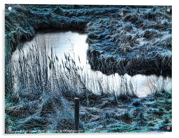 Frozen Pond Acrylic by Kim Slater