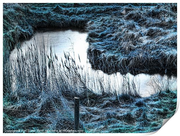 Frozen Pond Print by Kim Slater
