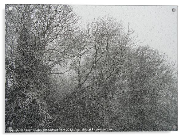 A Snowy Day Acrylic by Darren Burroughs