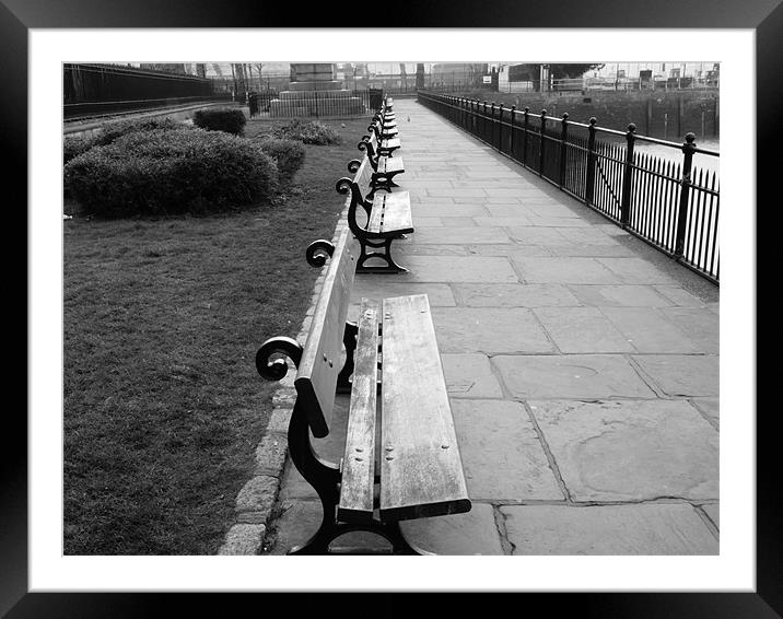 Park Benches  Framed Mounted Print by David French