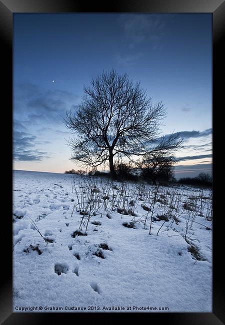 Winter Tree Framed Print by Graham Custance