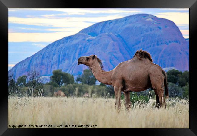 Camel Rock Framed Print by Barry Newman