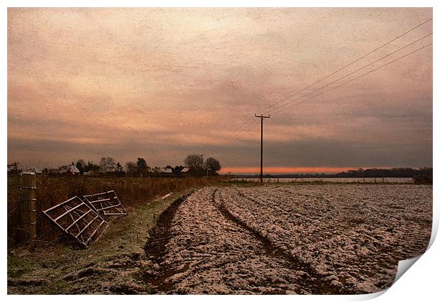 Red sky in the morning Print by Dawn Cox