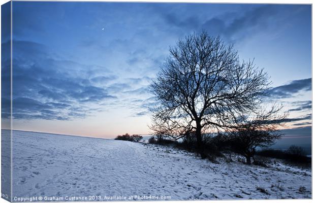 Winter Tree Canvas Print by Graham Custance